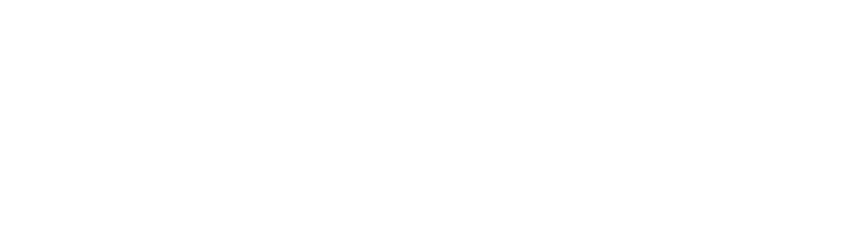 Pilot